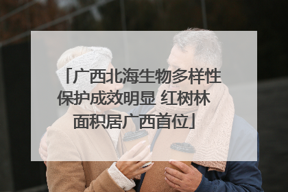 广西北海生物多样性保护成效明显 红树林面积居广西首位